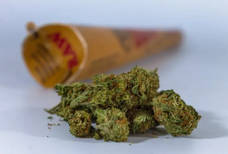 Banana Kush