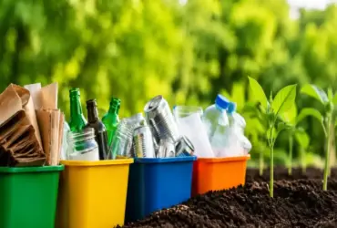 Qual é a importância da reciclagem para o meio ambiente?
